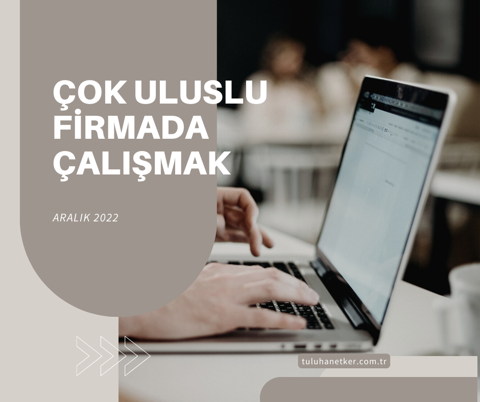Çok Uluslu Firmada Çalışmak